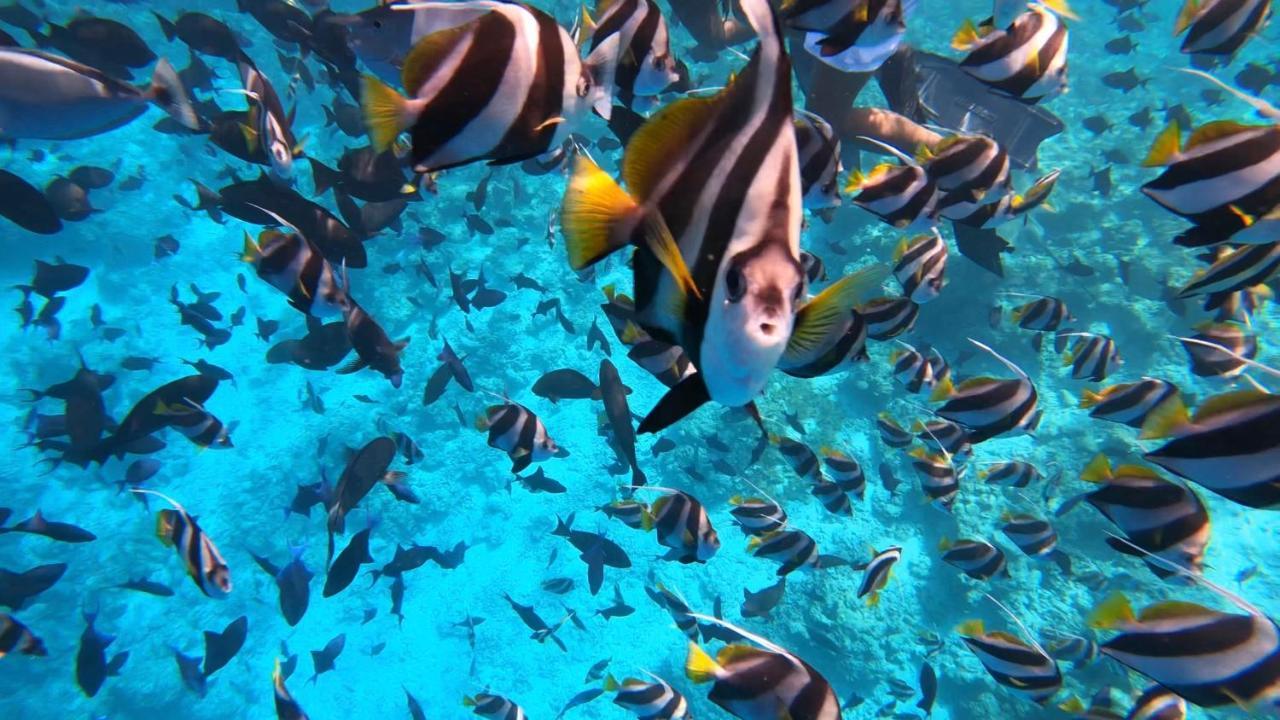 Infinity Dhiffushi Hotell Exteriör bild