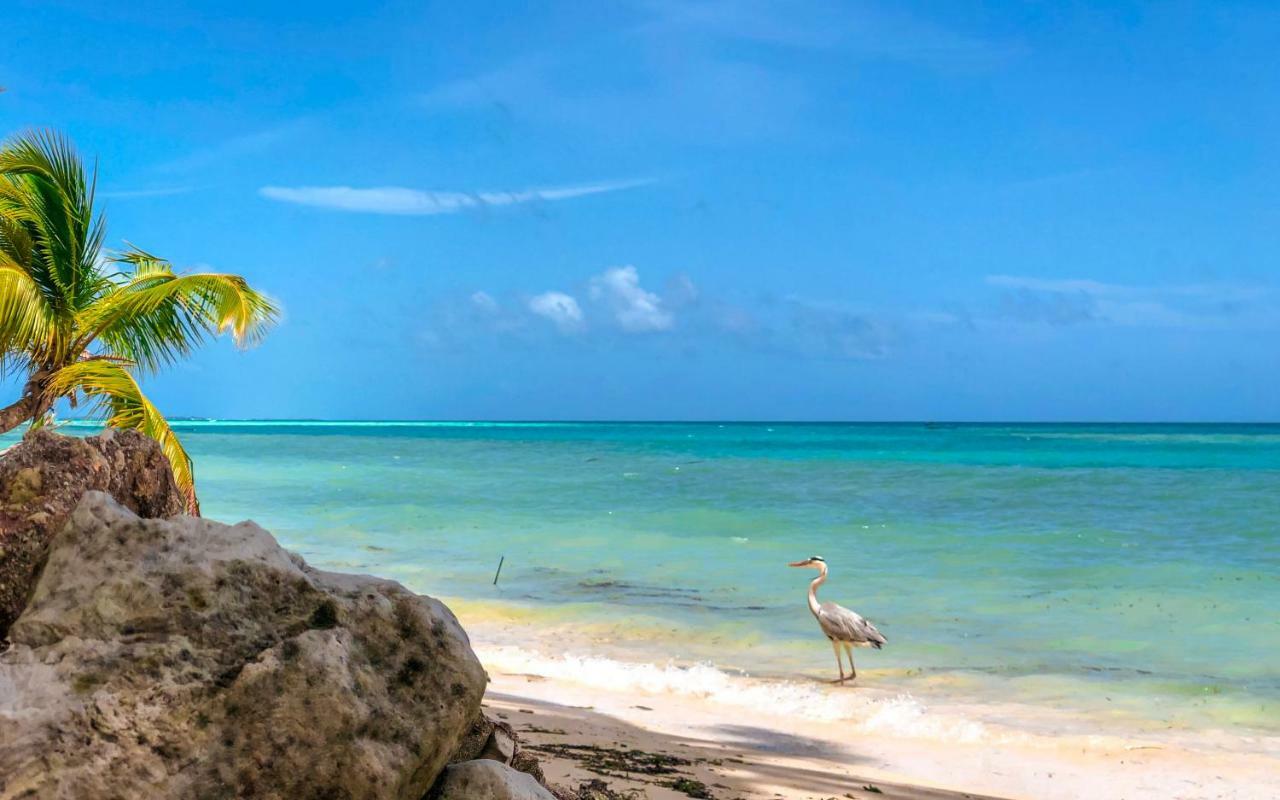 Infinity Dhiffushi Hotell Exteriör bild