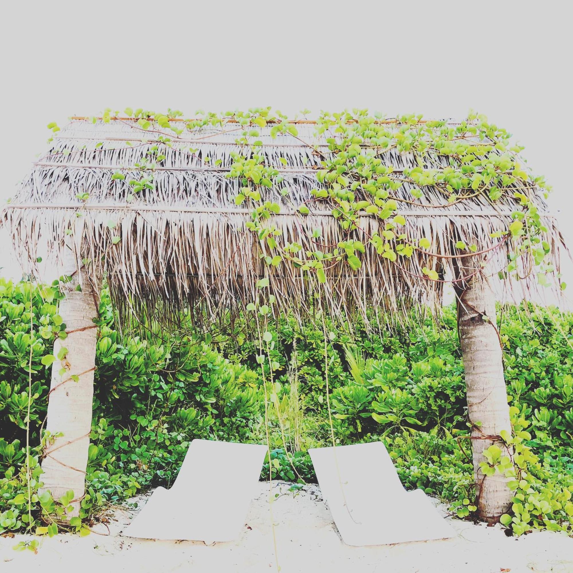 Infinity Dhiffushi Hotell Exteriör bild